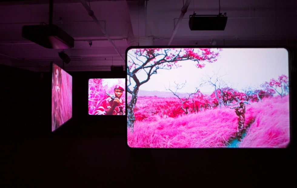 Installation view, The Enclave, 2012–2013. 16 mm infrared film transferred to HD video. Produced in eastern Democratic Republic of Congo. Courtesy of Jack Shainman Gallery, New York.