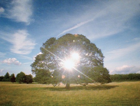 Per Speculum. 2008. Adrian Paci. Courtesy the artist, Galerie Peter Kilchmann, Zurich and kaufmann repetto, Milan.