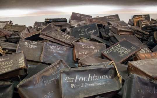 52c1007733d01cd7363102d9